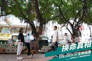 换命真相最新剧照(1798386)