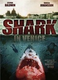 威尼斯之鲨